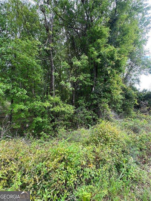unimproved land for sale at 0 S M L K Jr Boulevard, Americus, GA 31719 — photo 4