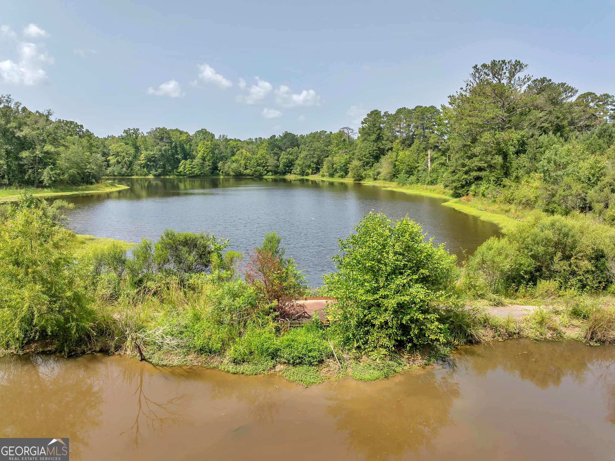 residential lot for sale at 7359 Thomaston Road, Macon, GA 31220 — photo 6