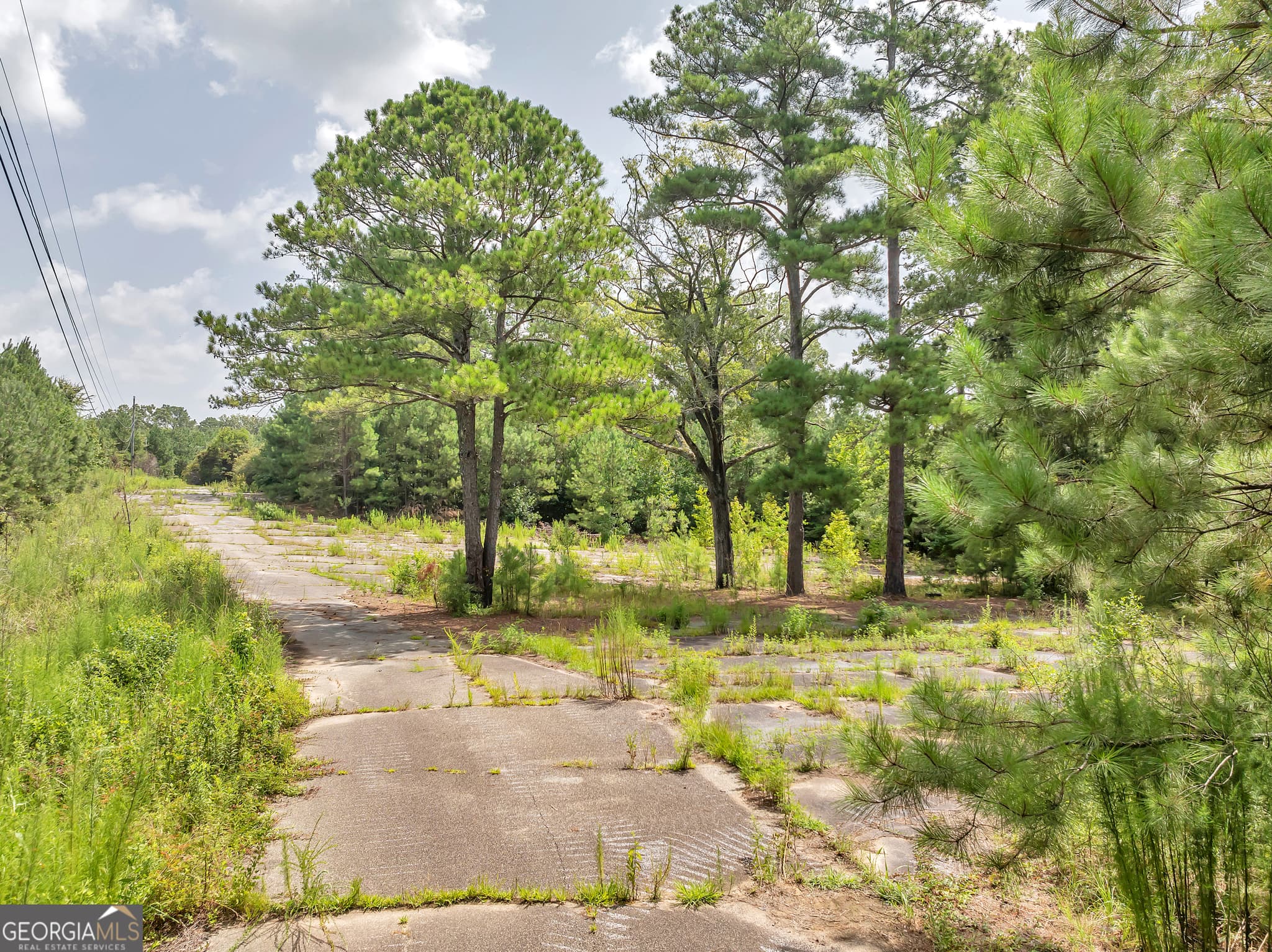 residential lot for sale at 7359 Thomaston Road, Macon, GA 31220 — photo 8
