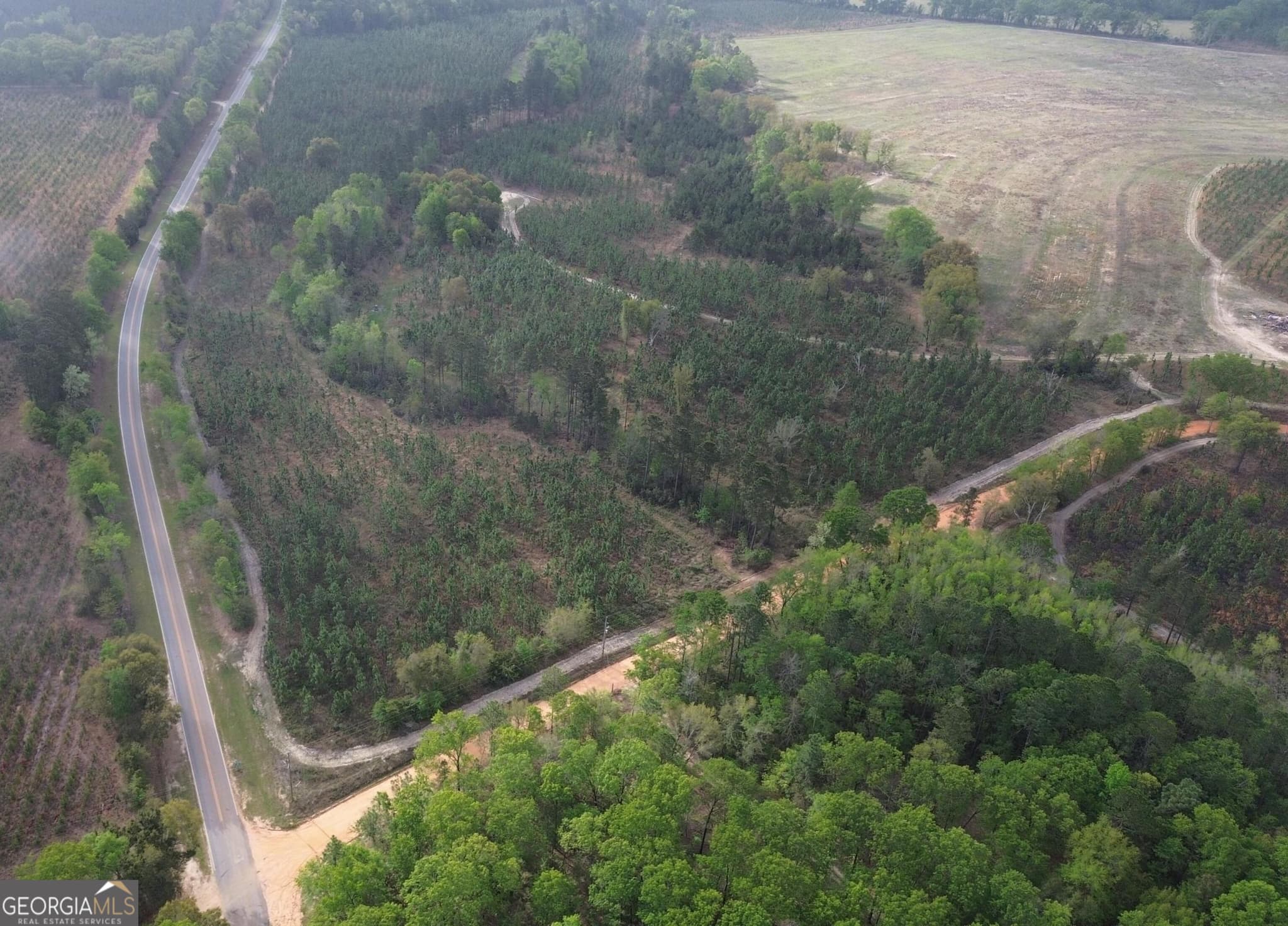 agriculture for sale at 001 Old Poor Robin TRACT 1, Sylvania, GA 30467 — photo 2