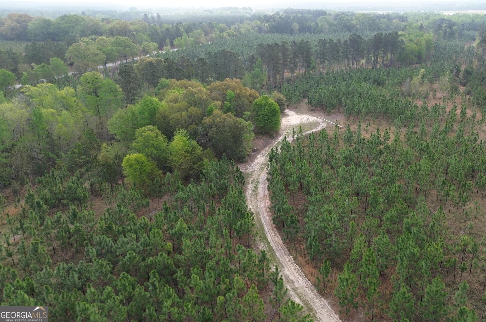agriculture for sale at 001 Old Poor Robin TRACT 1, Sylvania, GA 30467 — photo 6