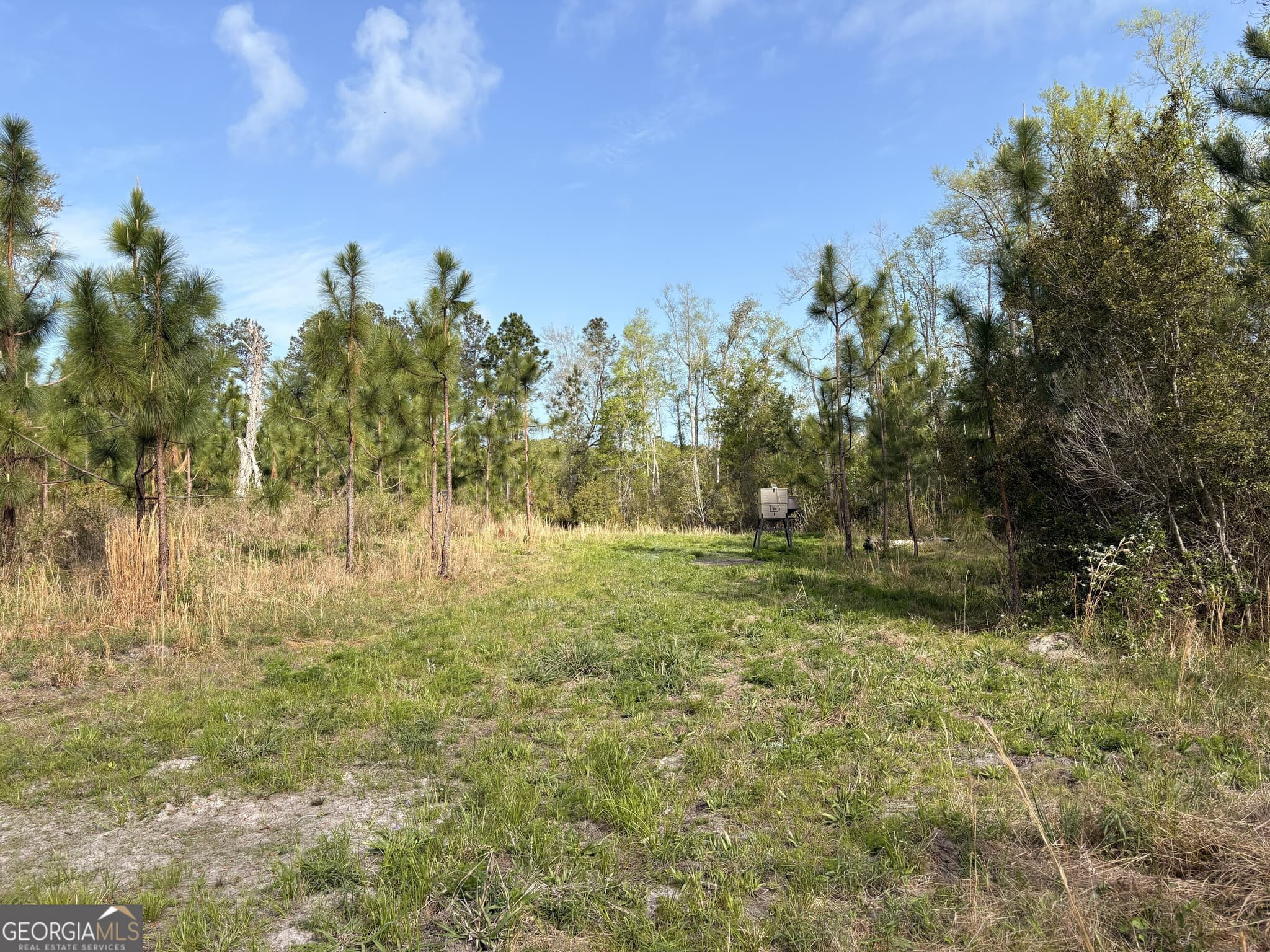 agriculture for sale at 001 Old Poor Robin TRACT 1, Sylvania, GA 30467 — photo 7