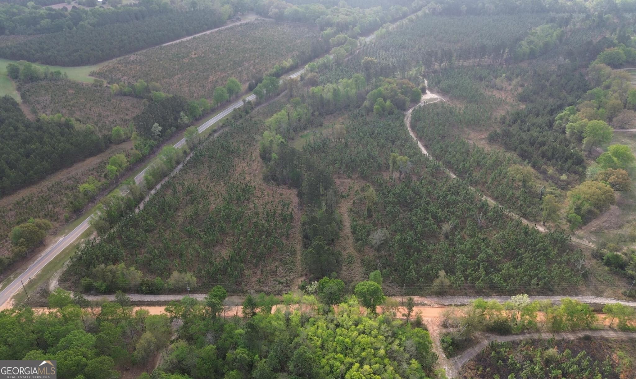 agriculture for sale at 001 Old Poor Robin TRACT 1, Sylvania, GA 30467 — photo 3