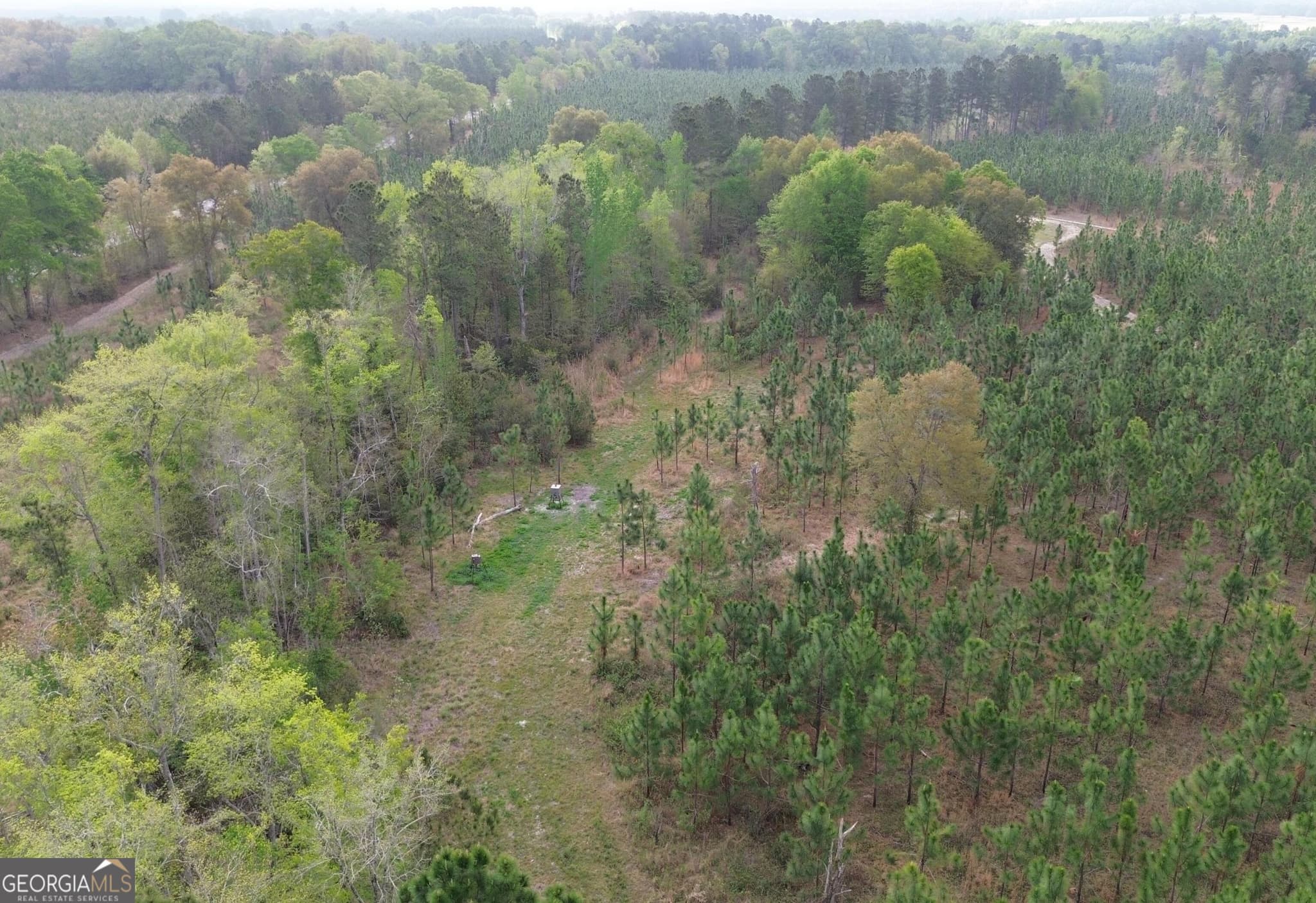 agriculture for sale at 001 Old Poor Robin TRACT 1, Sylvania, GA 30467 — photo 5