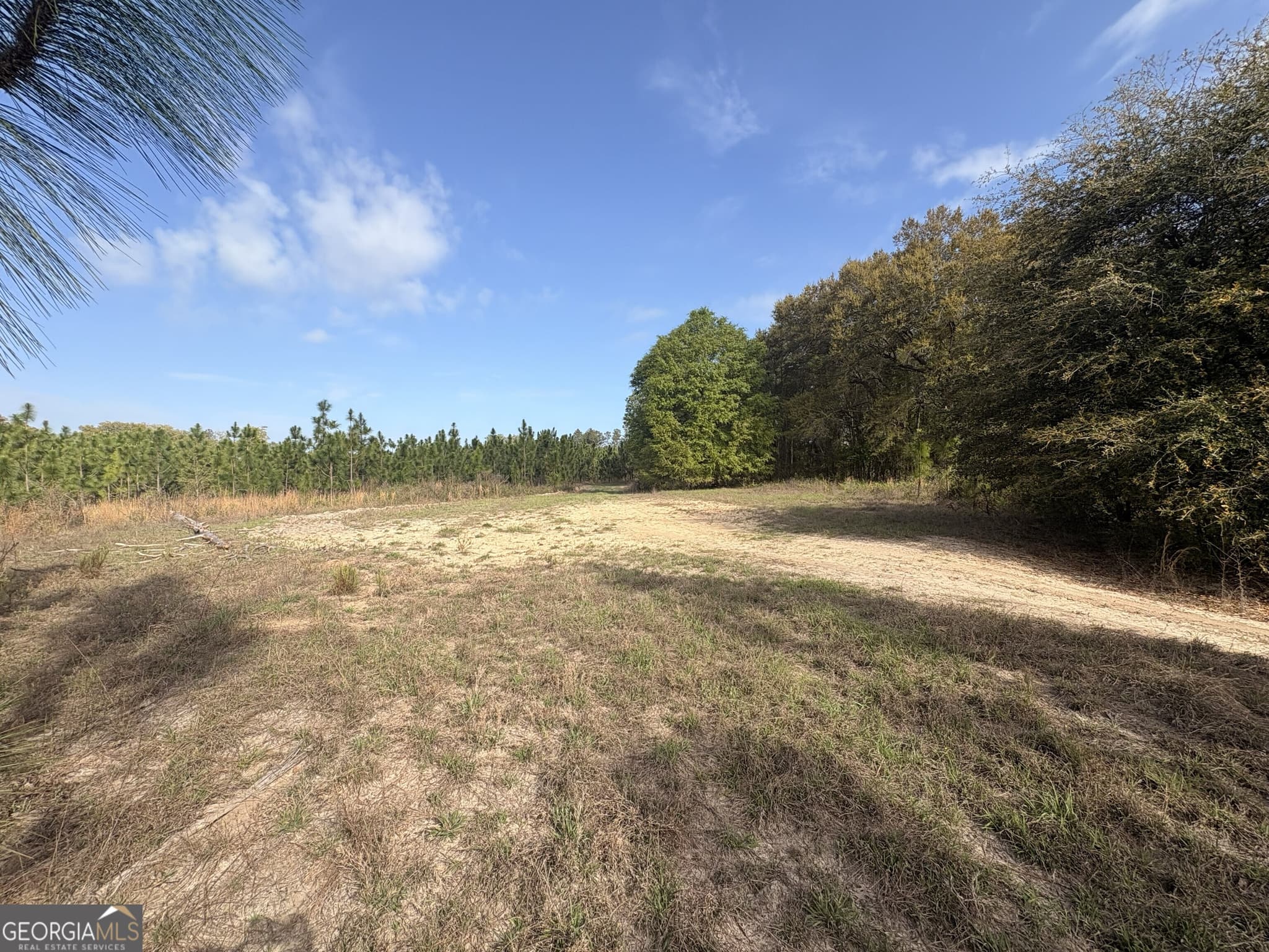 agriculture for sale at 001 Old Poor Robin TRACT 1, Sylvania, GA 30467 — photo 9