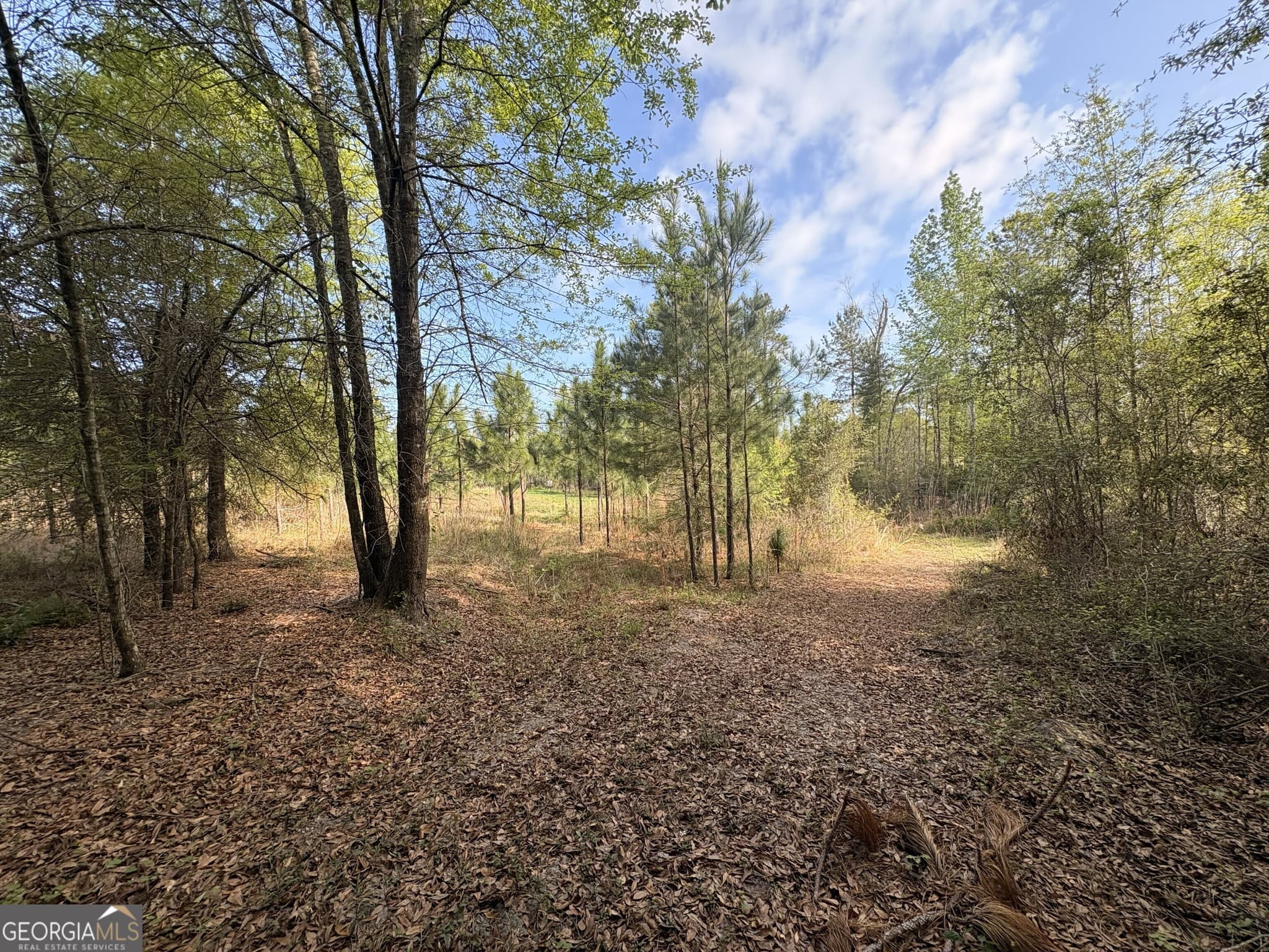 agriculture for sale at 001 Old Poor Robin TRACT 1, Sylvania, GA 30467 — photo 10