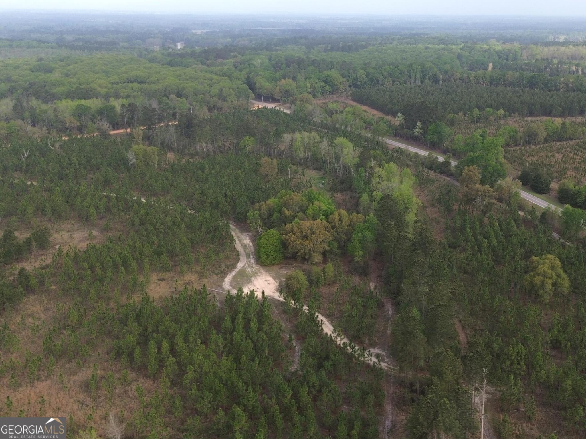 agriculture for sale at 001 Old Poor Robin TRACT 1, Sylvania, GA 30467 — photo 4