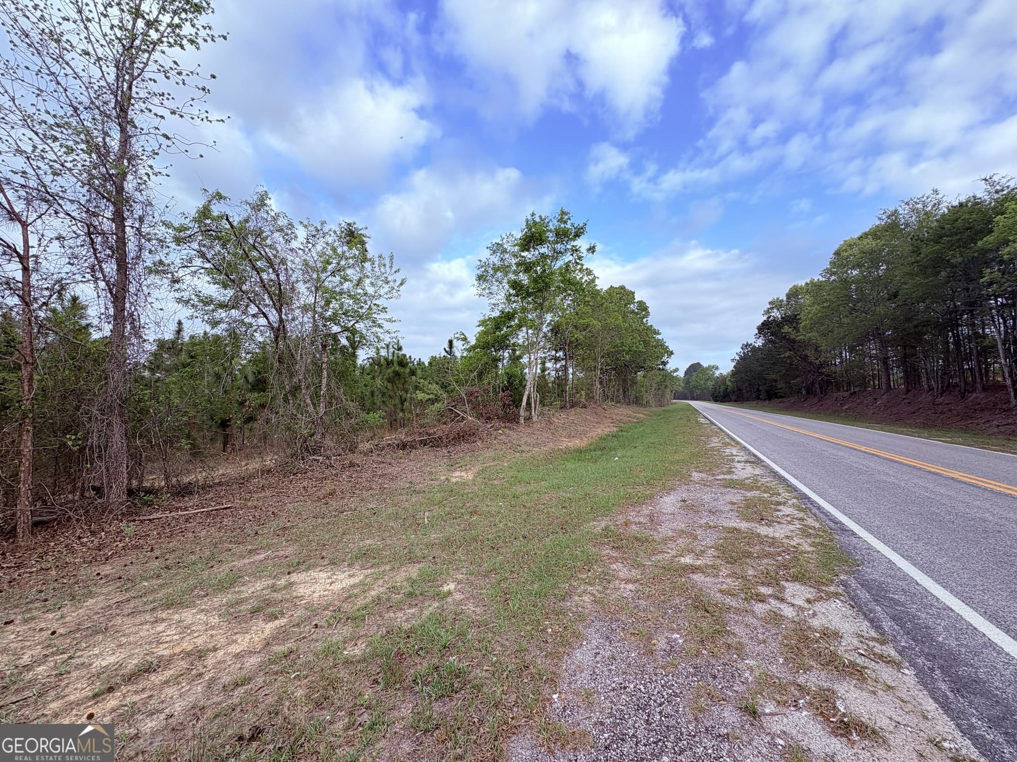 agriculture for sale at 001 Old Poor Robin TRACT 1, Sylvania, GA 30467 — photo 8