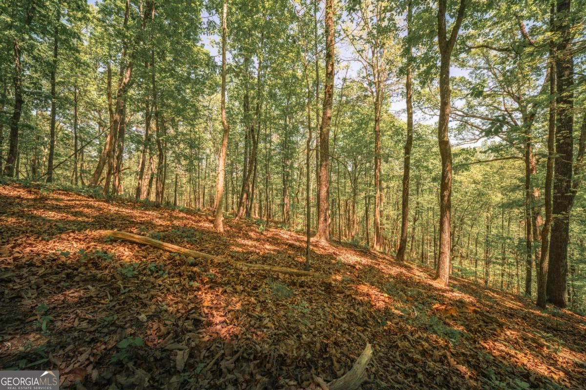 unimproved land for sale at 0 Hancock Mountain Trail, Waleska, GA 30183 — photo 2