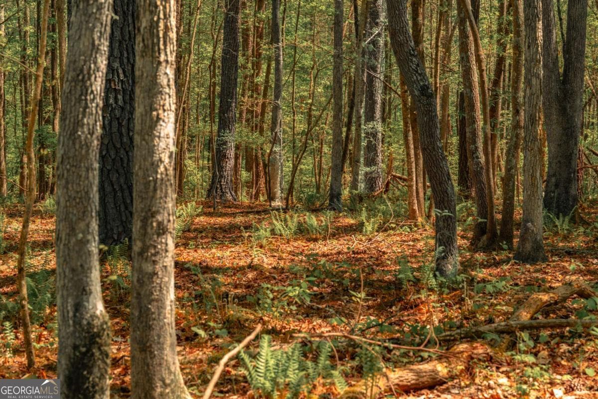 unimproved land for sale at 0 Hancock Mountain Trail, Waleska, GA 30183 — photo 6
