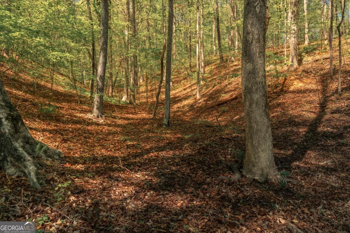 unimproved land for sale at 0 Hancock Mountain Trail, Waleska, GA 30183 — photo 7