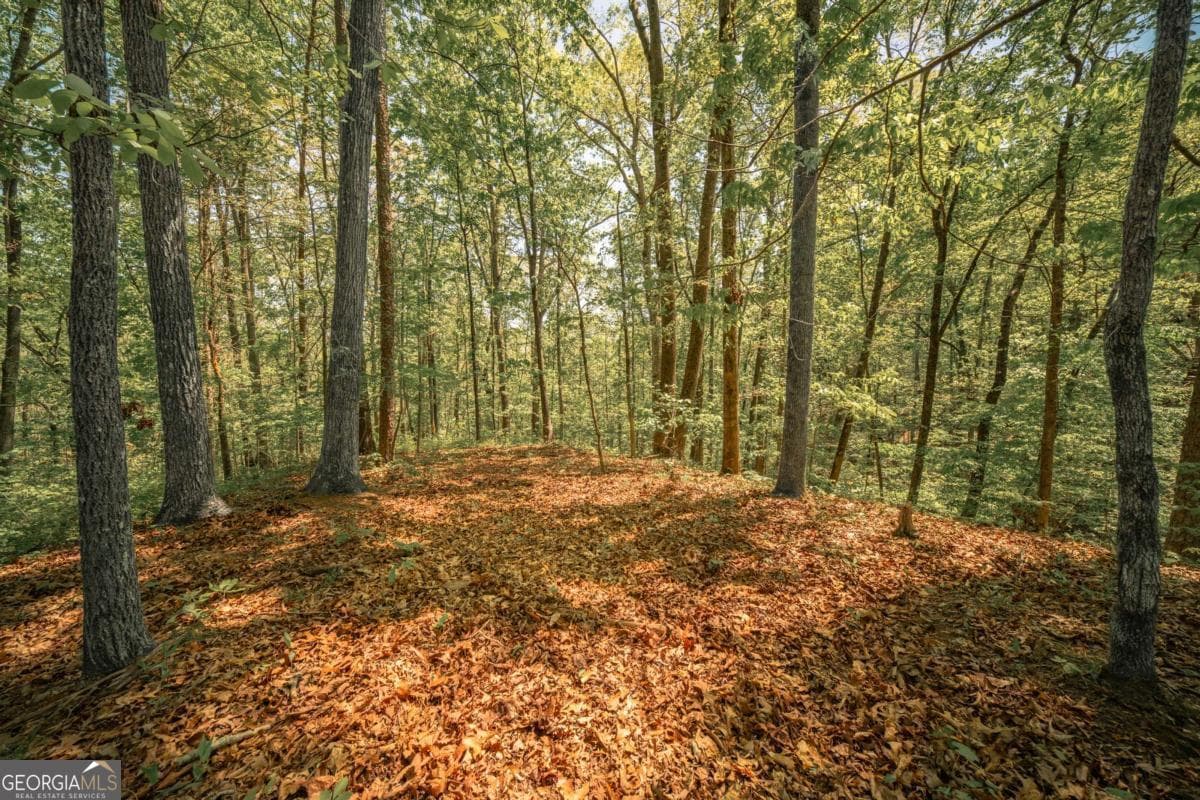 unimproved land for sale at 0 Hancock Mountain Trail, Waleska, GA 30183 — photo 3