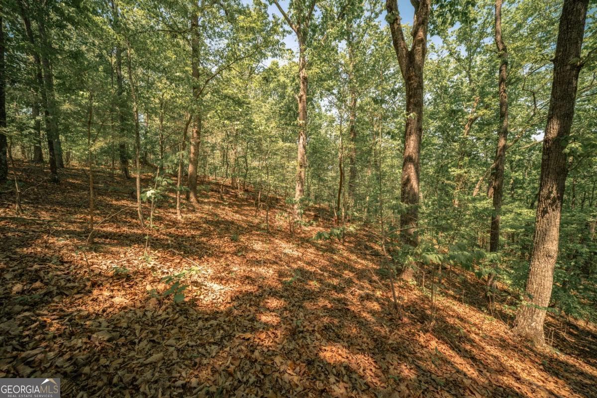 unimproved land for sale at 0 Hancock Mountain Trail, Waleska, GA 30183 — photo 1 of 30