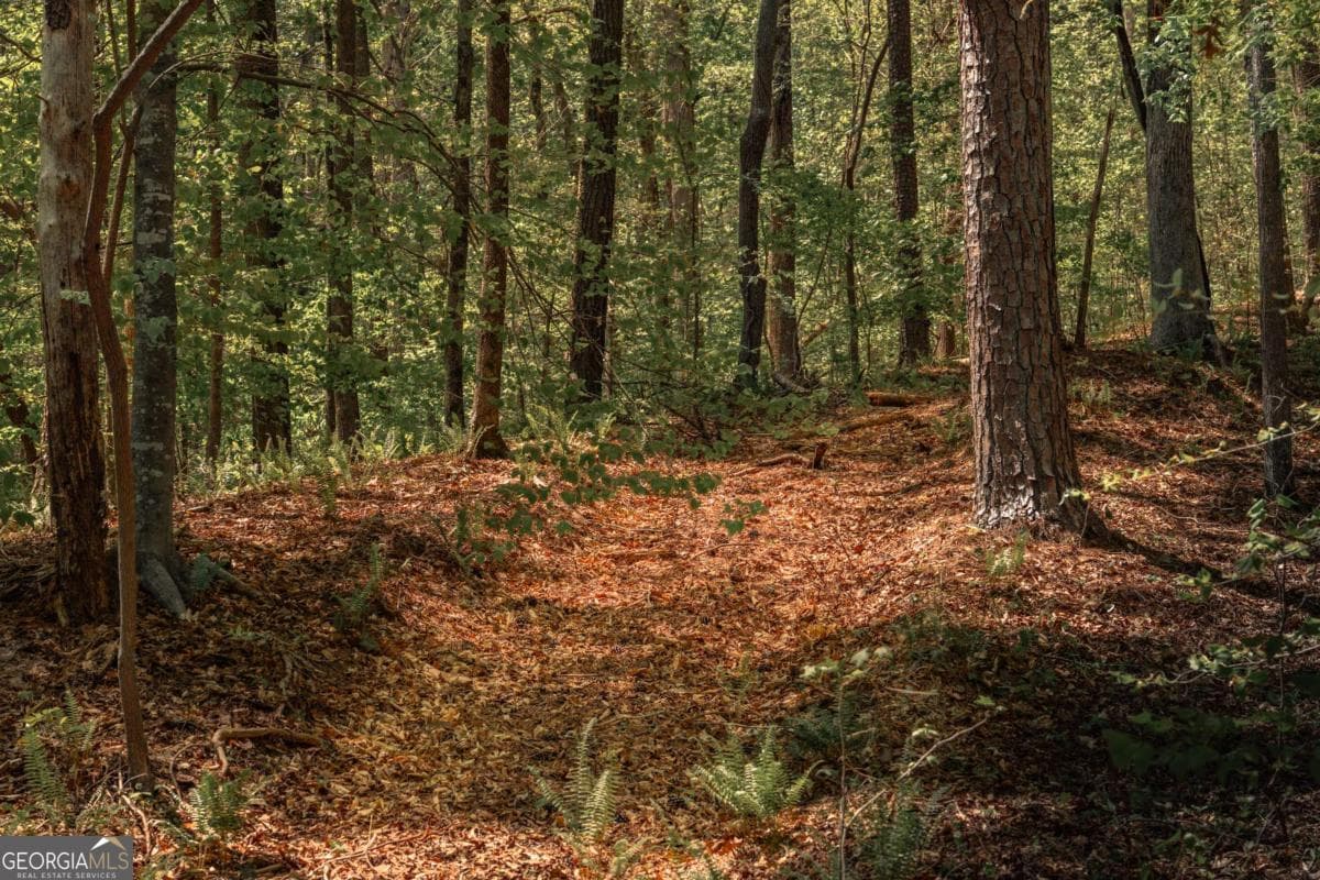 unimproved land for sale at 0 Hancock Mountain Trail, Waleska, GA 30183 — photo 5
