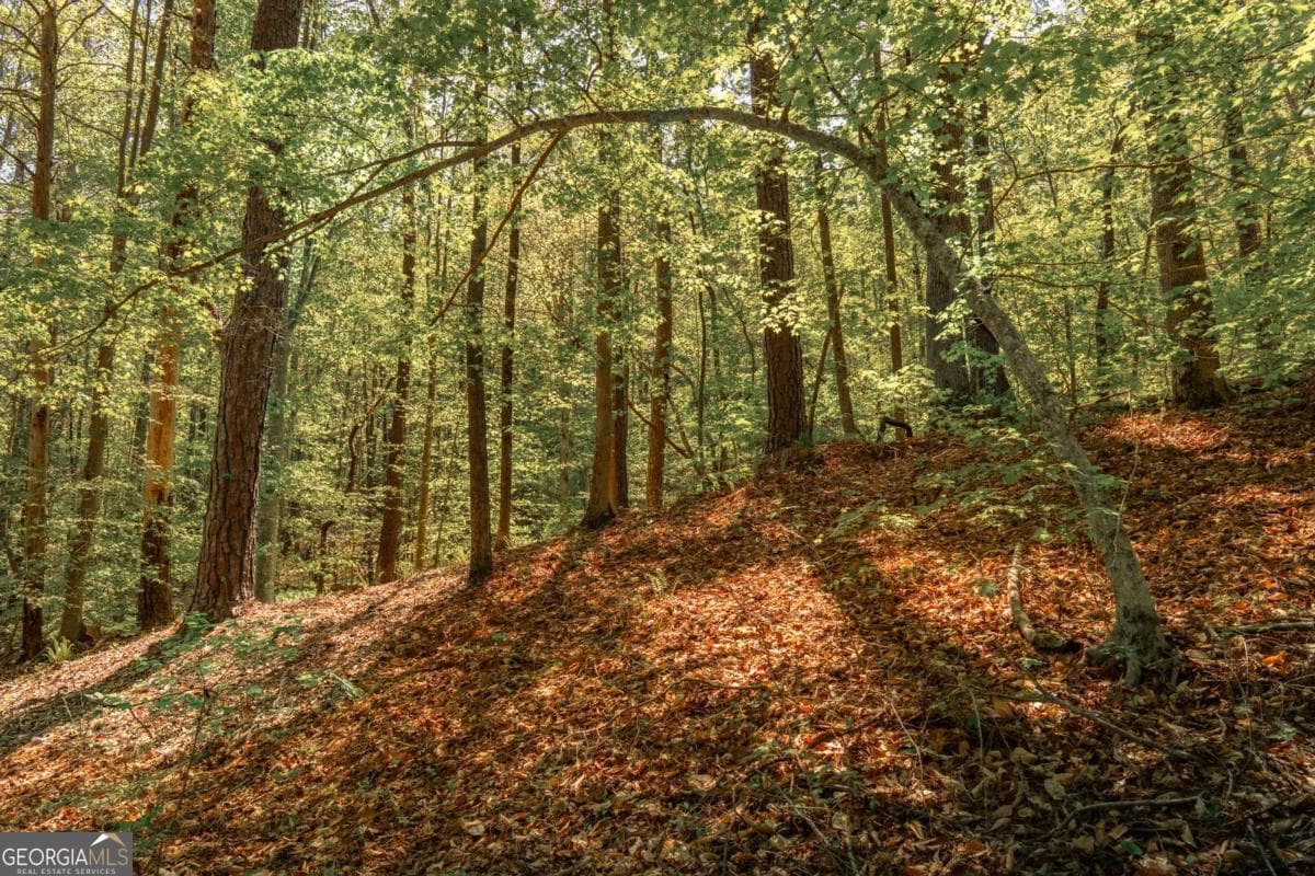 unimproved land for sale at 0 Hancock Mountain Trail, Waleska, GA 30183 — photo 9
