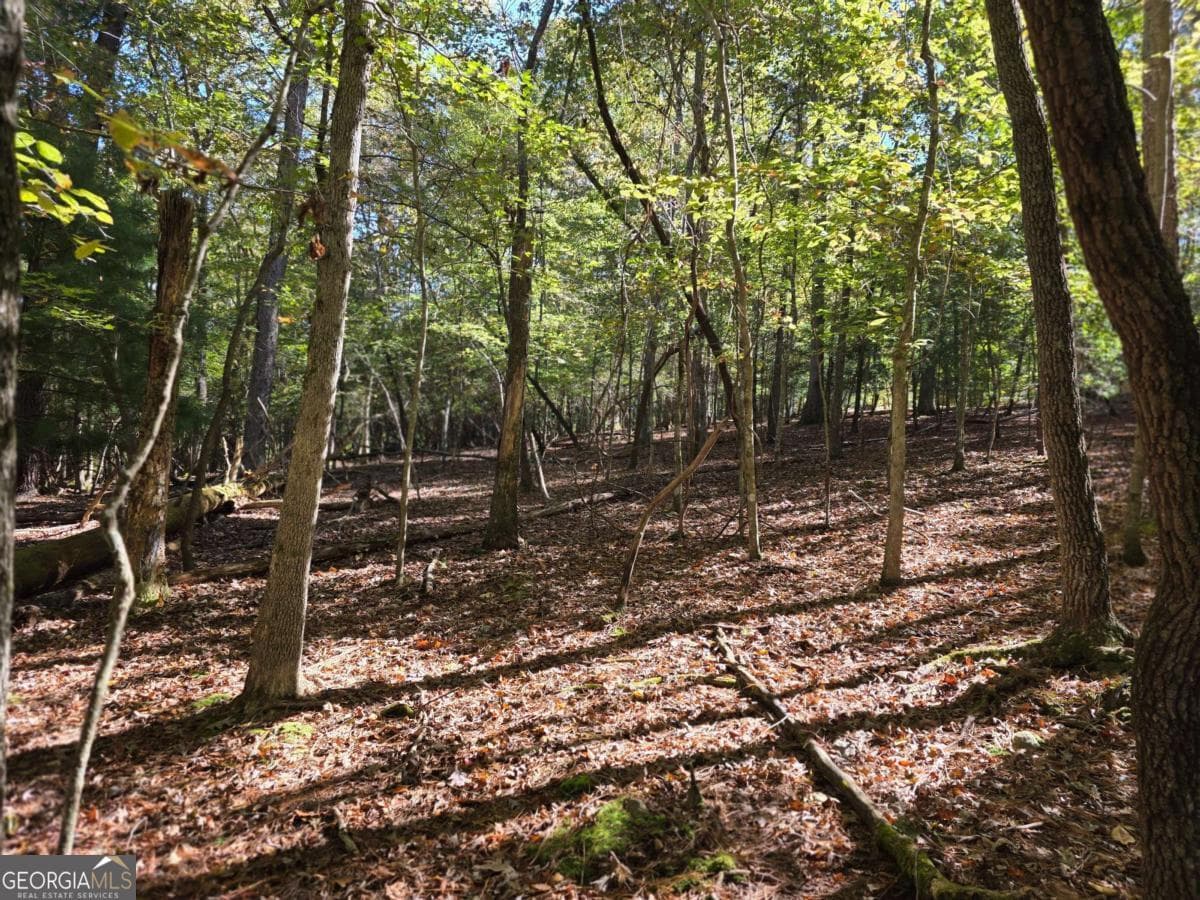 residential lot for sale at LOT #385 Zenith Trail 385, Ellijay, GA 30540 — photo 2