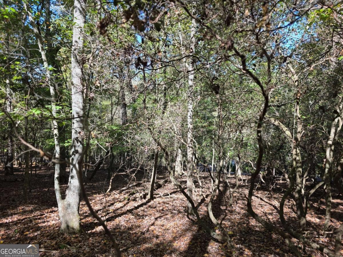 residential lot for sale at LOT #385 Zenith Trail 385, Ellijay, GA 30540 — photo 6