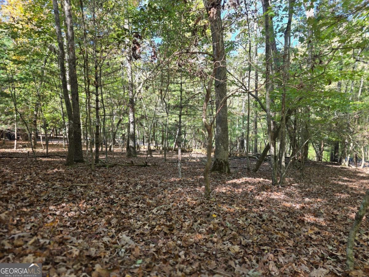residential lot for sale at LOT #385 Zenith Trail 385, Ellijay, GA 30540 — photo 7