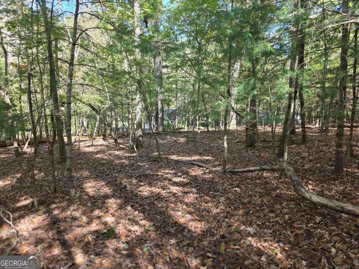 residential lot for sale at LOT #385 Zenith Trail 385, Ellijay, GA 30540 — photo 3