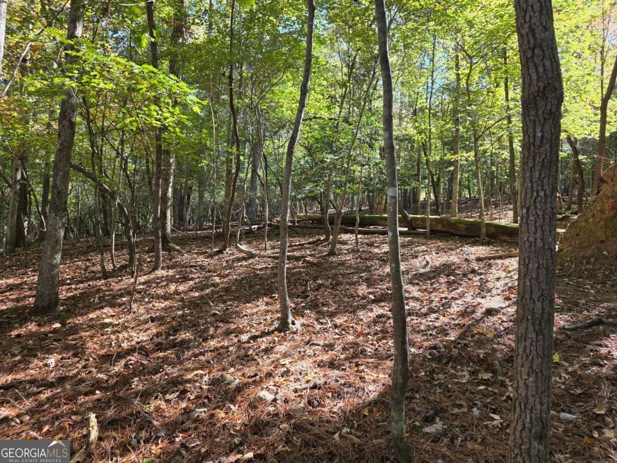residential lot for sale at LOT #385 Zenith Trail 385, Ellijay, GA 30540 — photo 1 of 20