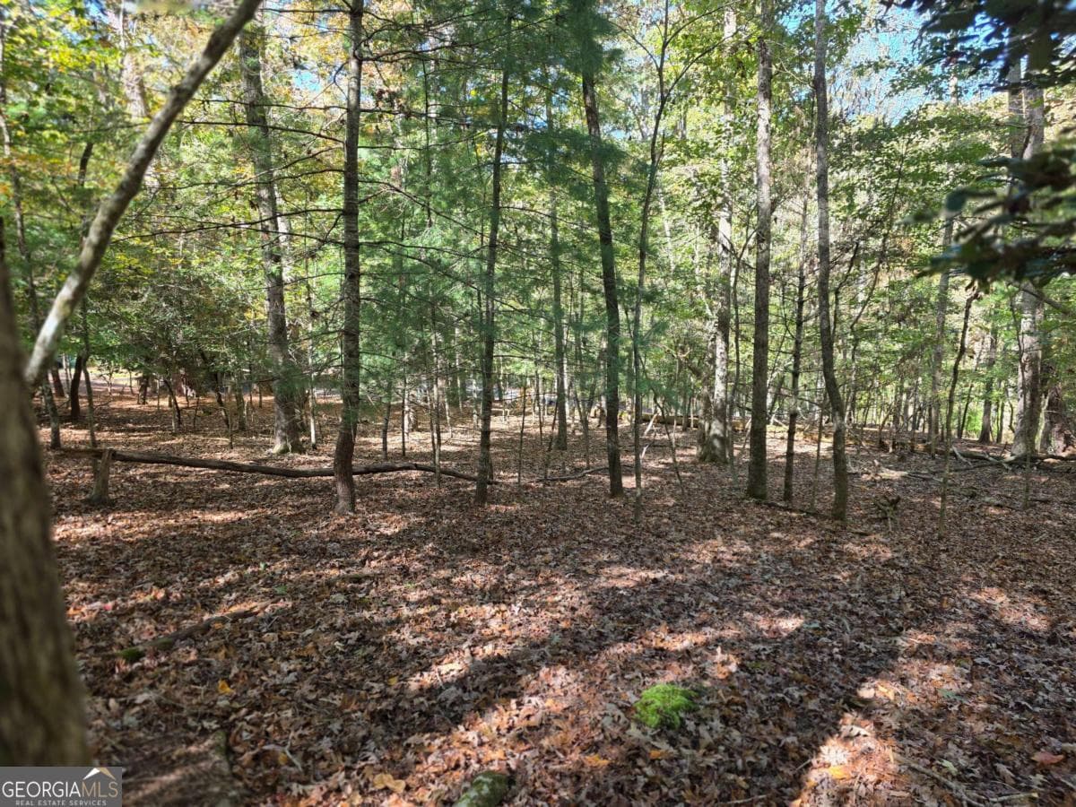 residential lot for sale at LOT #385 Zenith Trail 385, Ellijay, GA 30540 — photo 5