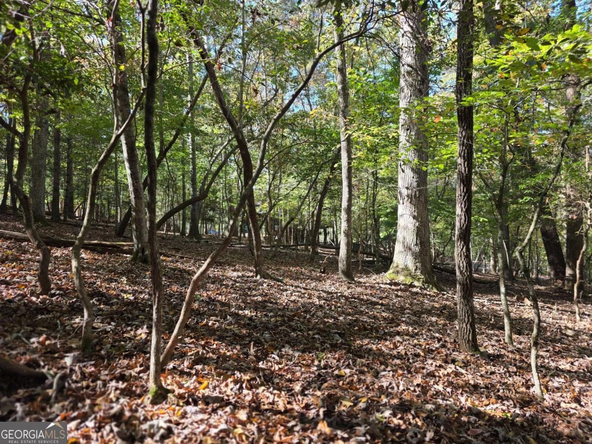 residential lot for sale at LOT #385 Zenith Trail 385, Ellijay, GA 30540 — photo 9