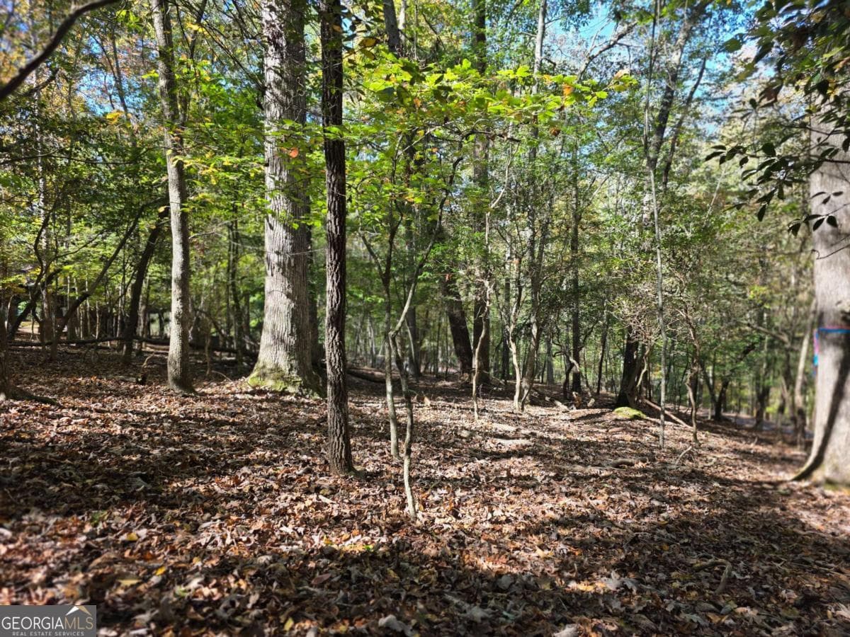 residential lot for sale at LOT #385 Zenith Trail 385, Ellijay, GA 30540 — photo 10