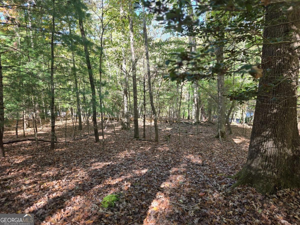 residential lot for sale at LOT #385 Zenith Trail 385, Ellijay, GA 30540 — photo 4