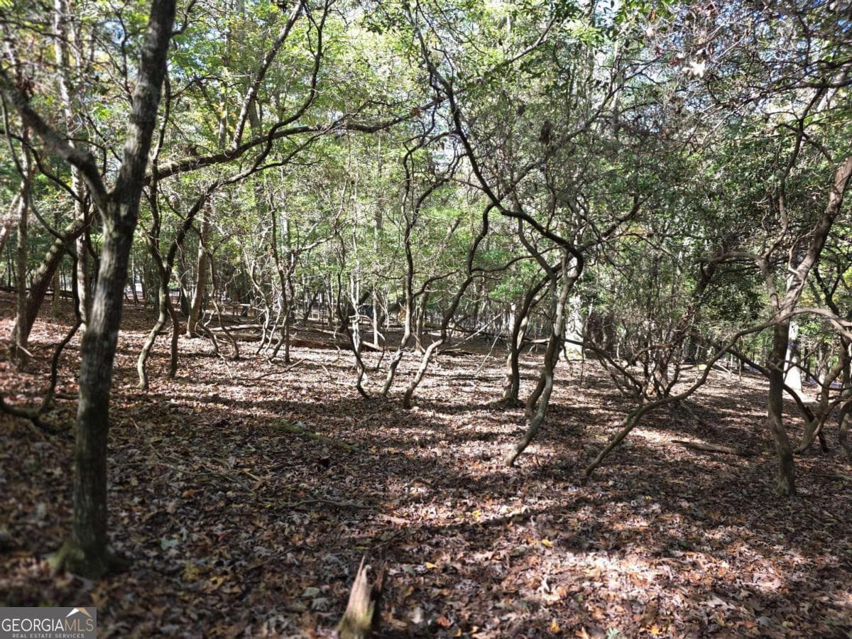 residential lot for sale at LOT #385 Zenith Trail 385, Ellijay, GA 30540 — photo 8