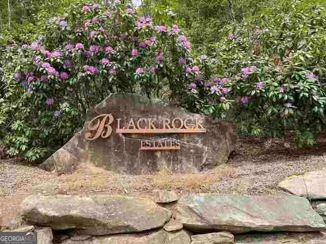 residential lot for sale at 0 Yellow Trillium Estates LOT 40, Clayton, GA 30525 — photo 2