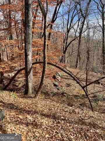 residential lot for sale at 0 Yellow Trillium Estates LOT 40, Clayton, GA 30525 — photo 3