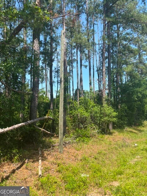 residential lot for sale at 0 STONEY BROOK Way, Reidsville, GA 30453 — photo 2