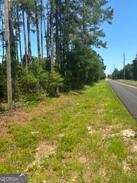 residential lot for sale at 0 STONEY BROOK Way, Reidsville, GA 30453 — photo 3