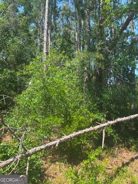 residential lot for sale at 0 STONEY BROOK Way, Reidsville, GA 30453