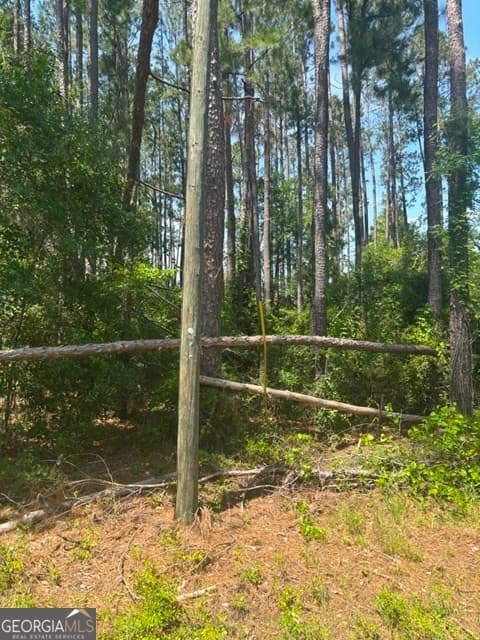 residential lot for sale at 0 STONEY BROOK Way, Reidsville, GA 30453 — photo 4