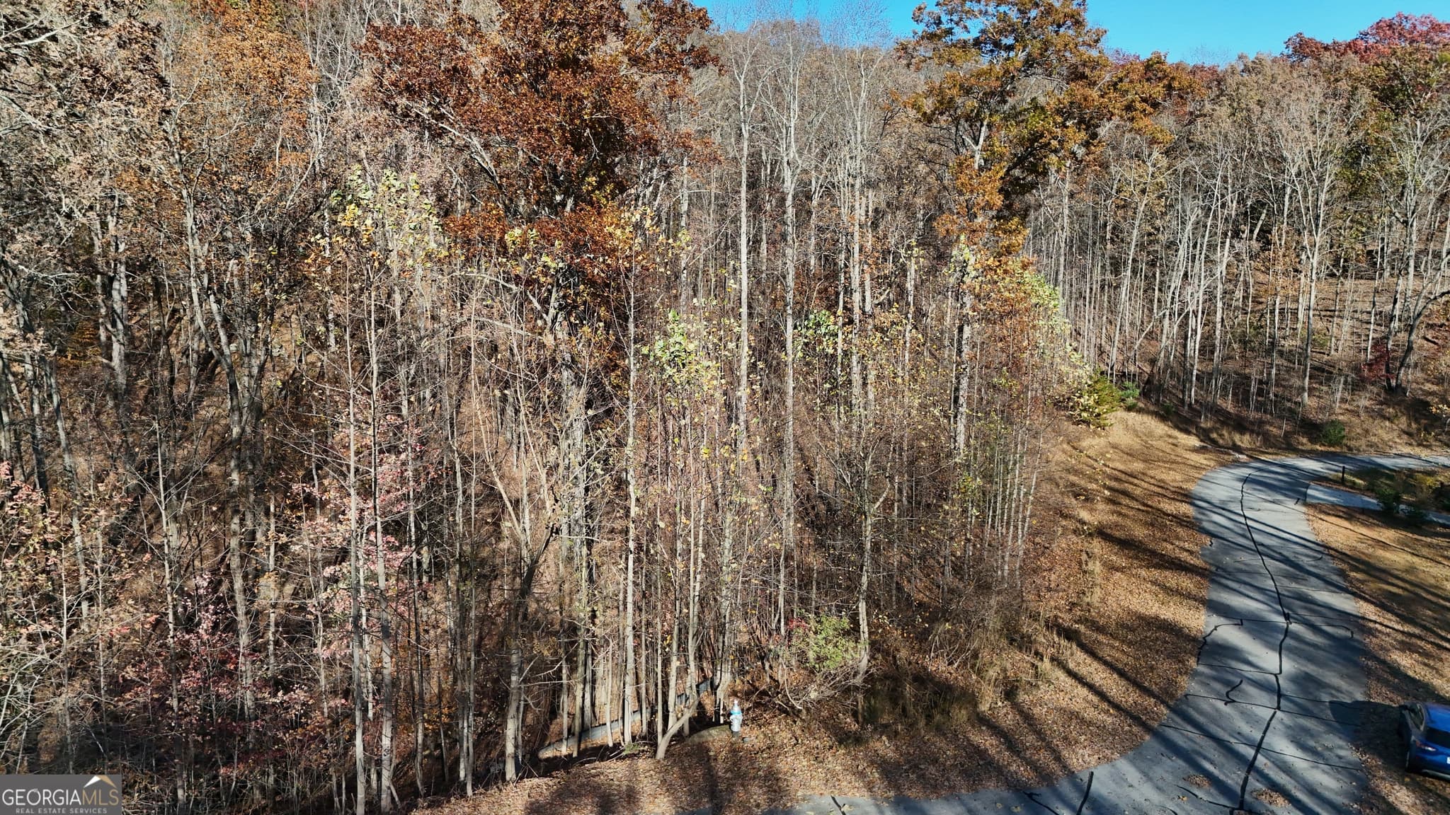 residential lot for sale at LOT 198 Northshore Drive, Cleveland, GA 30528 — photo 2