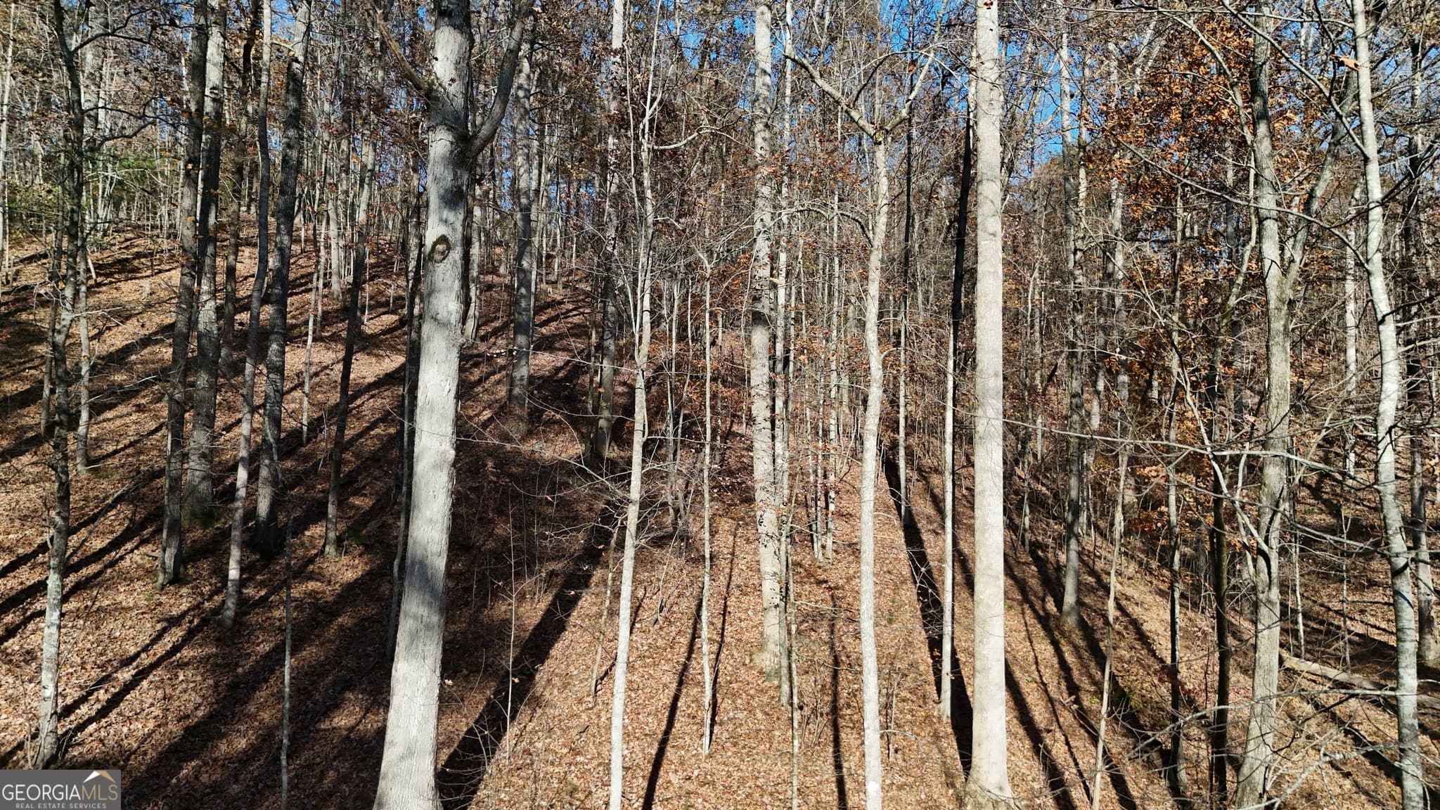 residential lot for sale at LOT 198 Northshore Drive, Cleveland, GA 30528 — photo 5