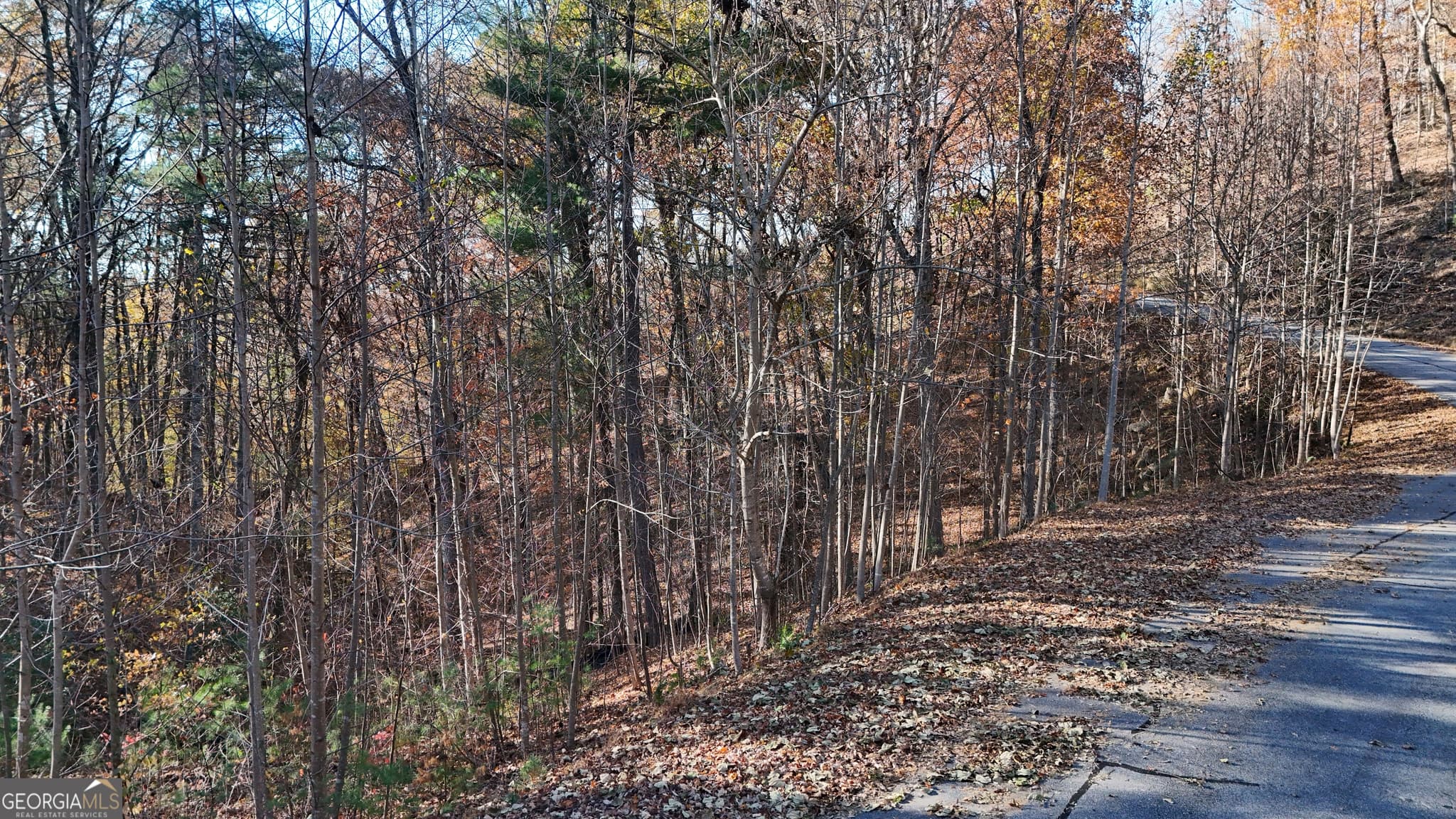 residential lot for sale at LOT 198 Northshore Drive, Cleveland, GA 30528 — photo 9