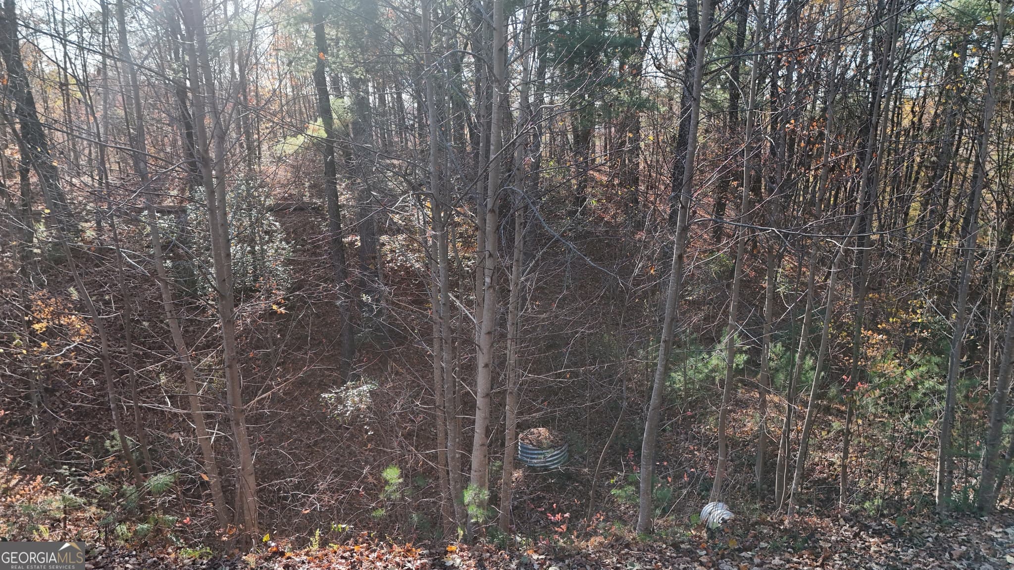 residential lot for sale at LOT 198 Northshore Drive, Cleveland, GA 30528 — photo 8