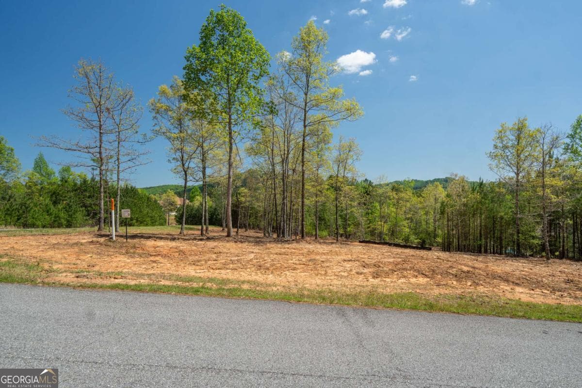 residential lot for sale at LOT 41 Sandy Lake Lane, Blairsville, GA 30512 — photo 7