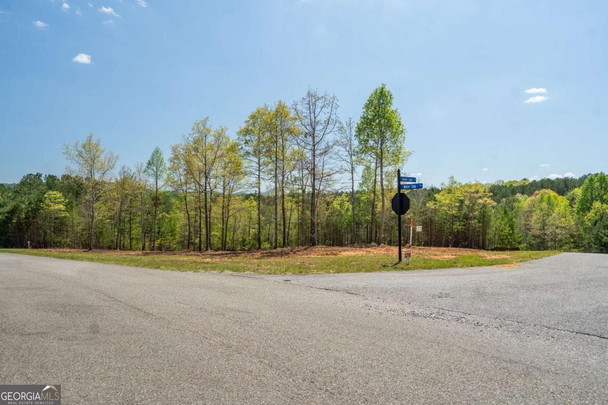 residential lot for sale at LOT 41 Sandy Lake Lane, Blairsville, GA 30512 — photo 3