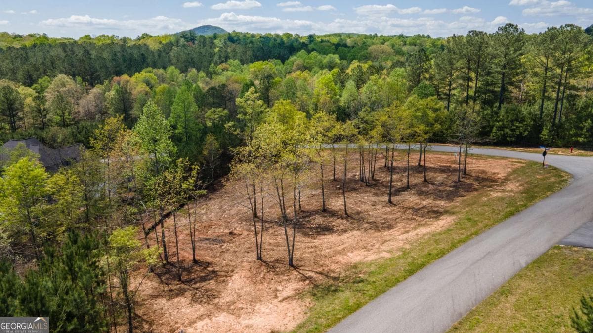 residential lot for sale at LOT 41 Sandy Lake Lane, Blairsville, GA 30512 — photo 1 of 20
