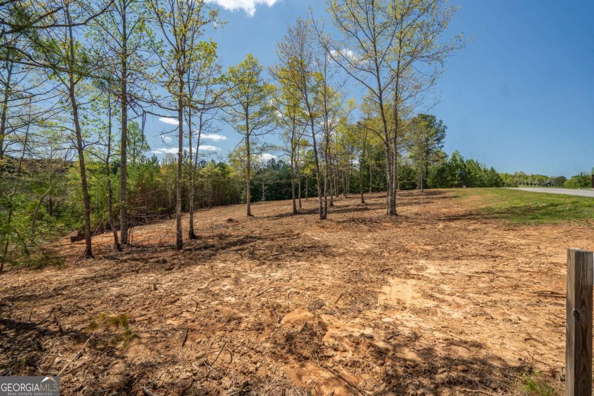 residential lot for sale at LOT 41 Sandy Lake Lane, Blairsville, GA 30512 — photo 5