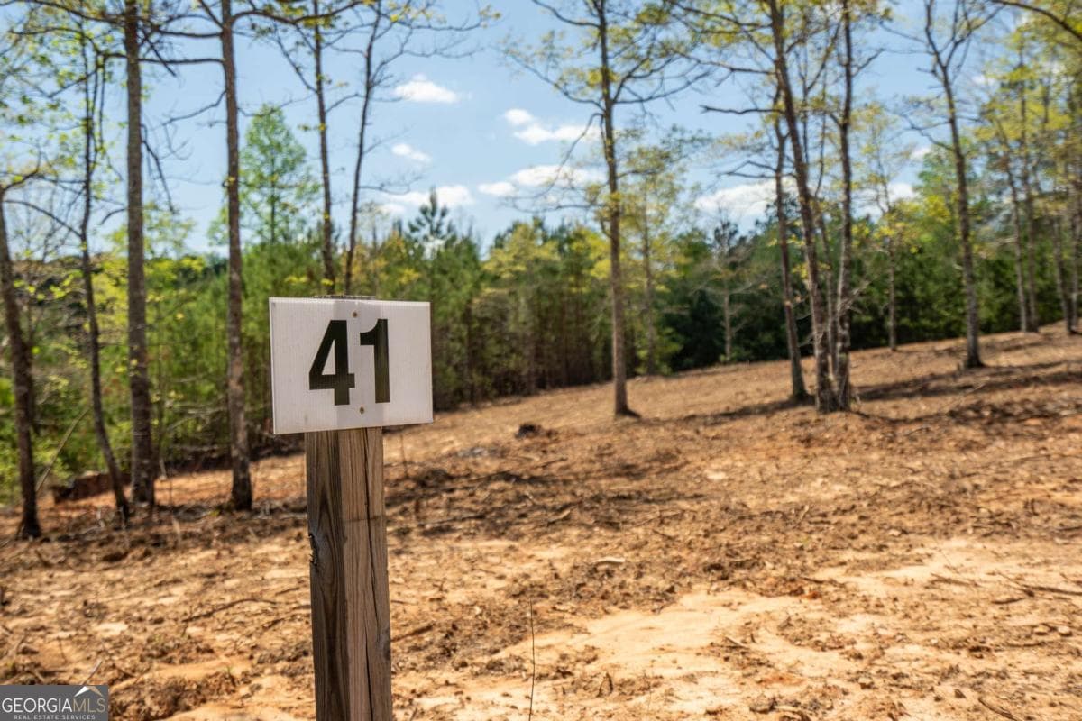 residential lot for sale at LOT 41 Sandy Lake Lane, Blairsville, GA 30512 — photo 10