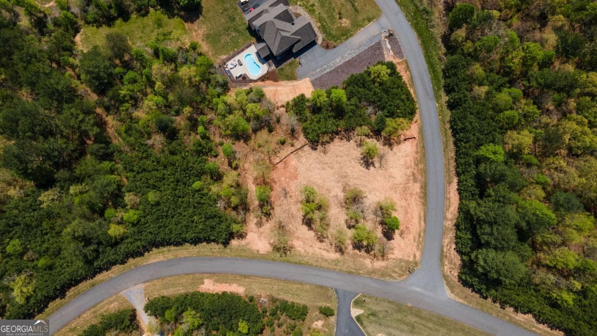 residential lot for sale at LOT 41 Sandy Lake Lane, Blairsville, GA 30512 — photo 4