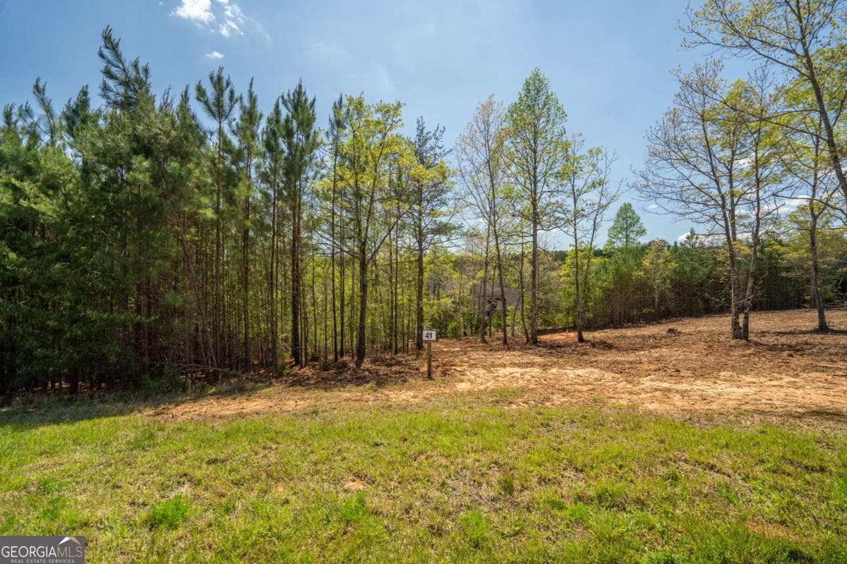 residential lot for sale at LOT 41 Sandy Lake Lane, Blairsville, GA 30512 — photo 8