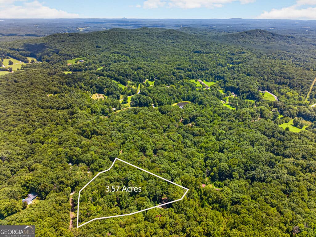 residential lot for sale at 0 Waters Edge Drive, Clarkesville, GA 30523 — photo 6