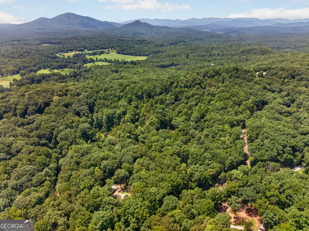 residential lot for sale at 0 Waters Edge Drive, Clarkesville, GA 30523 — photo 7