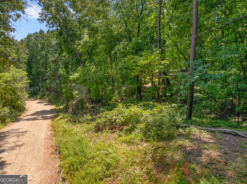 residential lot for sale at 0 Waters Edge Drive, Clarkesville, GA 30523 — photo 3