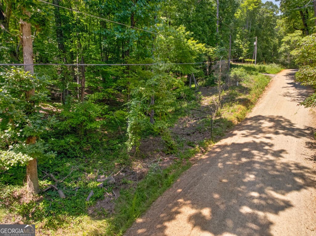 residential lot for sale at 0 Waters Edge Drive, Clarkesville, GA 30523 — photo 5